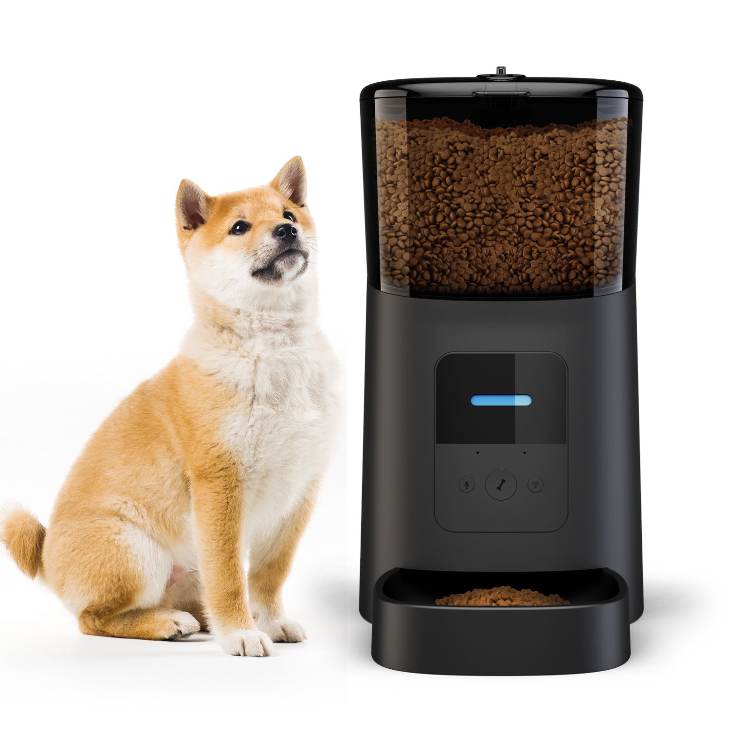 Pet automatic feeder - Paws Claw Snawws