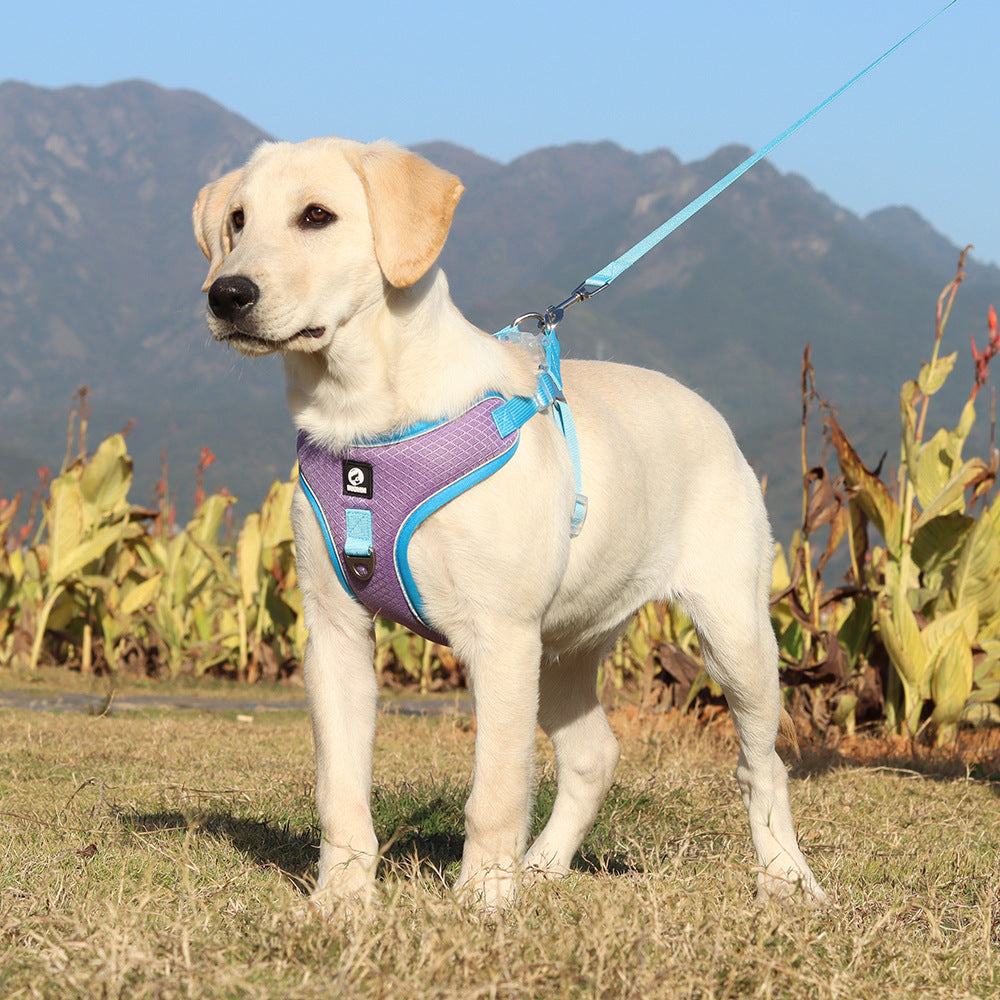 Breathable Pet Harness Adjustable Leash - Paws Claw Snawws