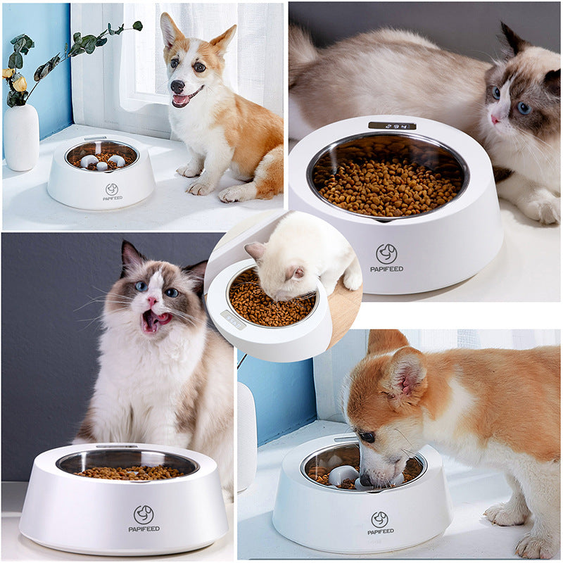 Pet Smart Weighing Slow Feeder - Paws Claw Snawws