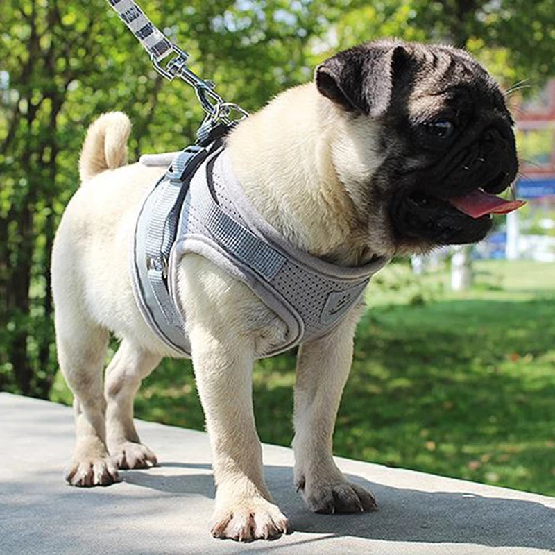 Reflective And Breathable Pet Harness - Paws Claw Snawws