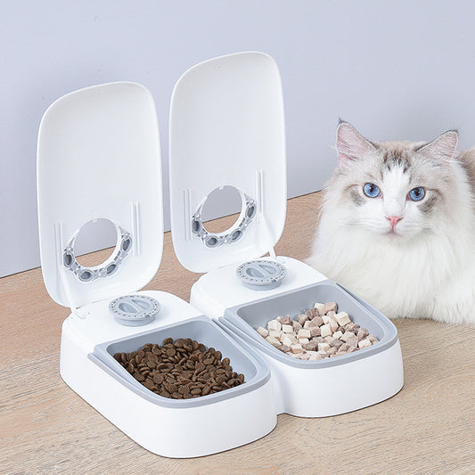 Pet Automatic Timing Feeder - Paws Claw Snawws