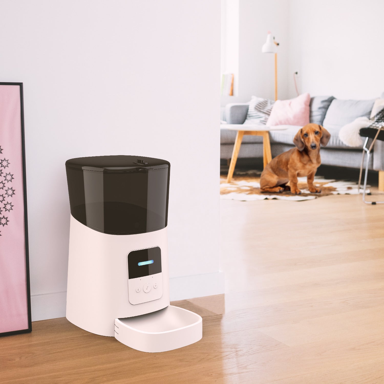 Pet automatic feeder - Paws Claw Snawws