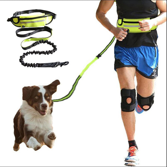 Hands Free Dog Leash - Paws Claw Snawws