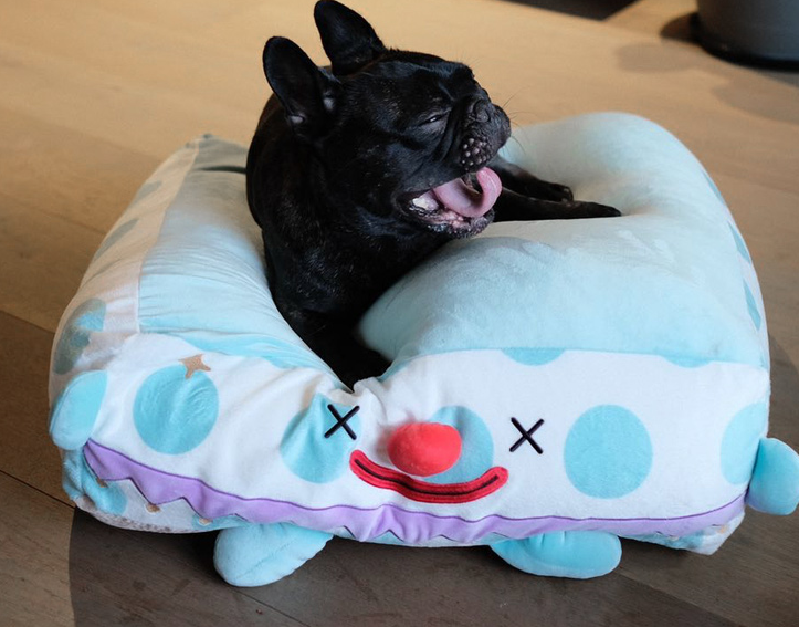 Clown Sleeps In A Cozy Pet Bed - Paws Claw Snawws