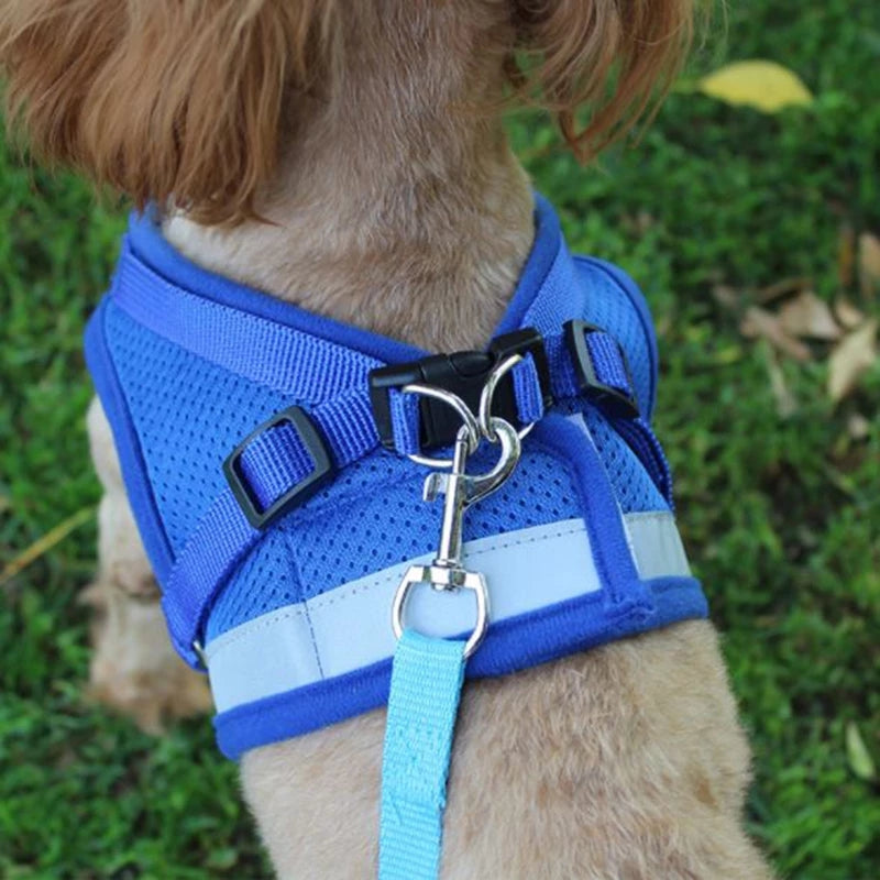 Reflective And Breathable Pet Harness - Paws Claw Snawws