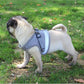 Reflective And Breathable Pet Harness - Paws Claw Snawws