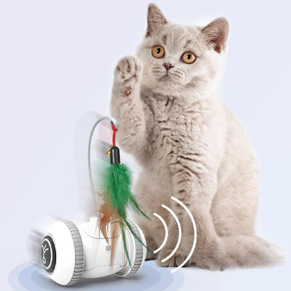 Interactive Cat Toy With Interchangeable Heads - Paws Claw Snawws